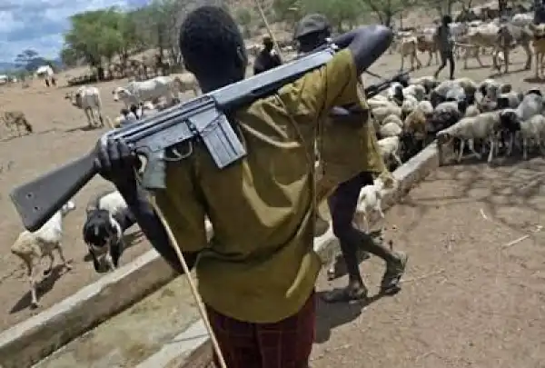Over 20 killed as herdsmen attack villages in Kaduna state